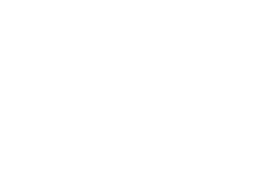Google Fiber