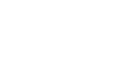 Horizon Software