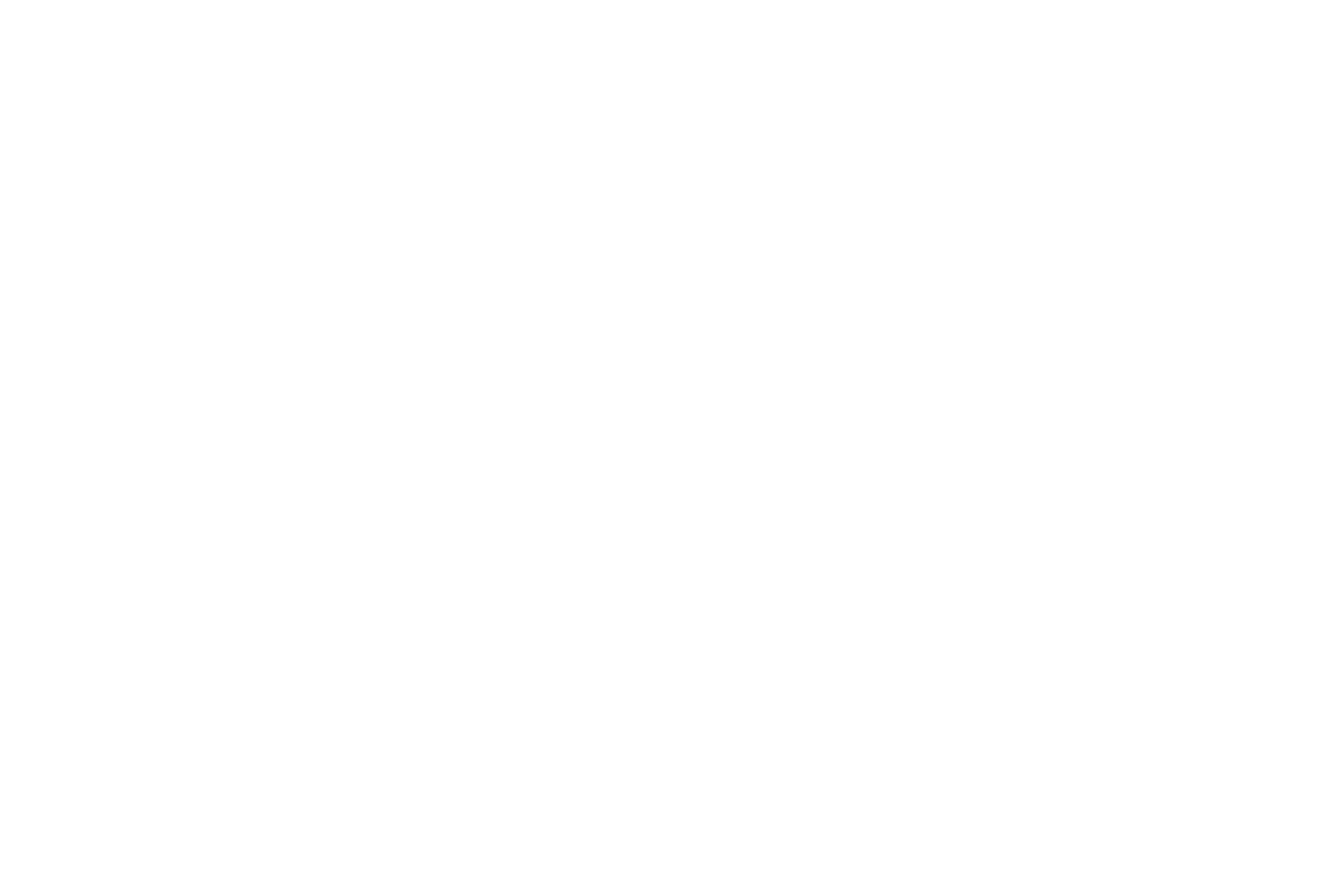 Horizon Software