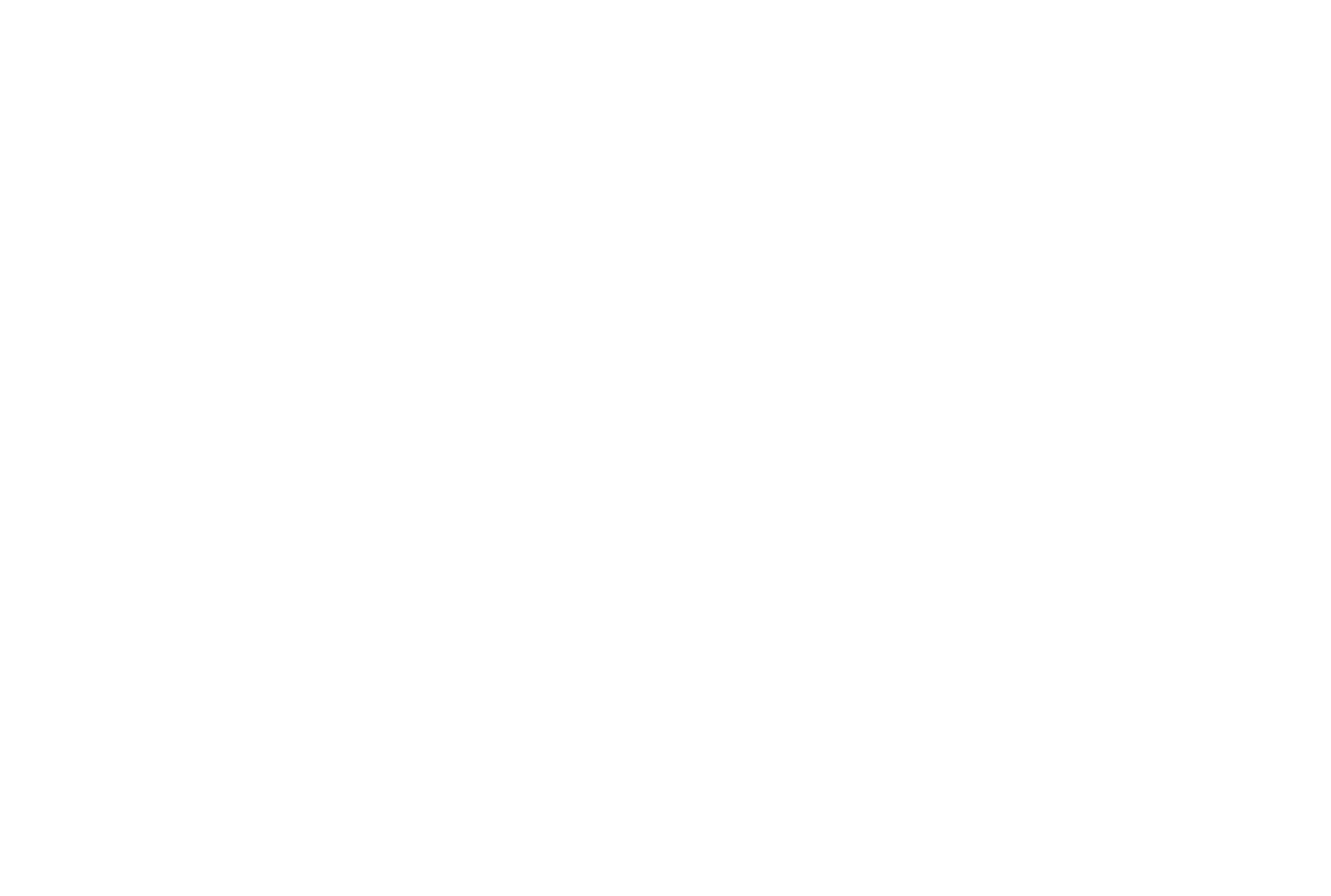 Horizon Software
