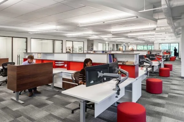 Marx Okubo Open Office