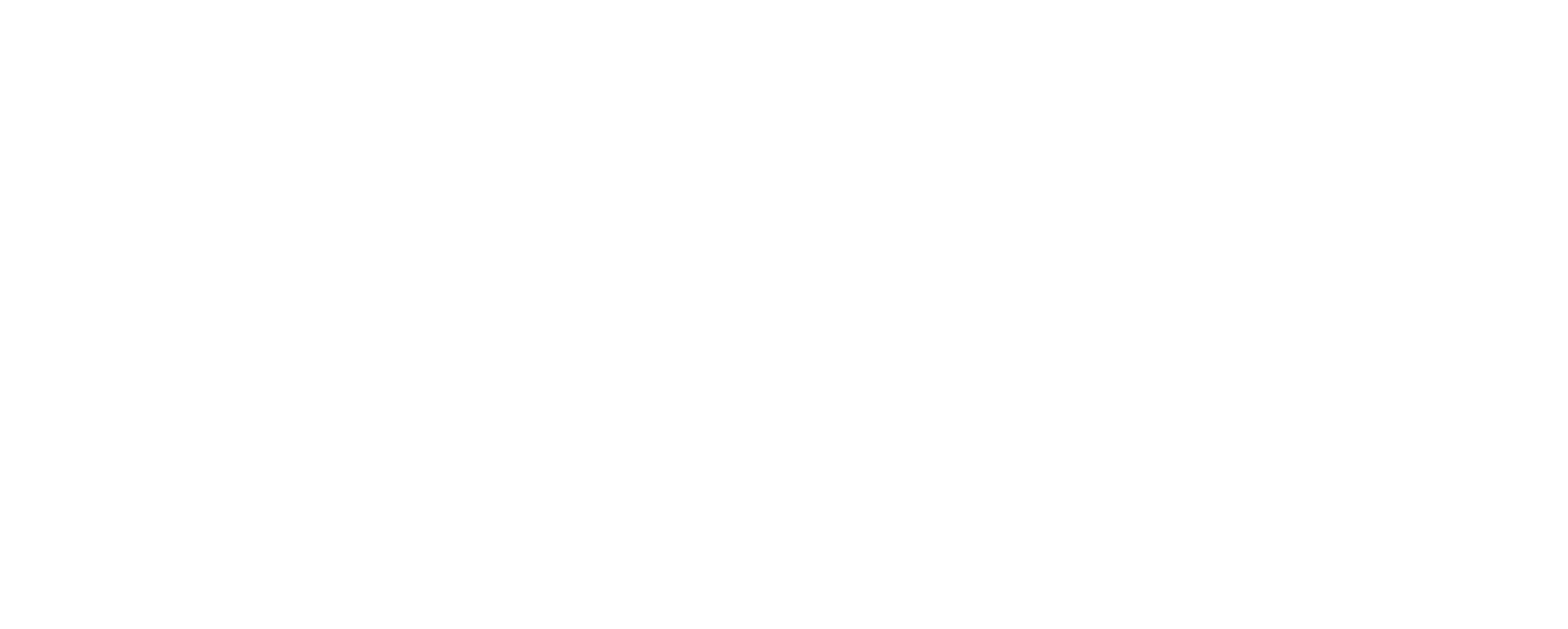 First Investors Financial Services