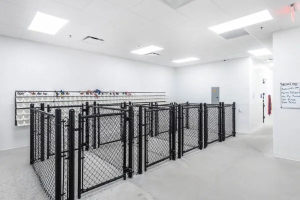 Skiptown - Indoor Area