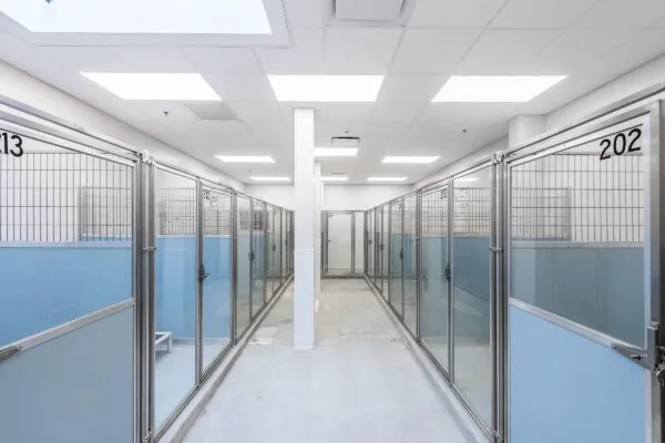 Skiptown - Boarding Area