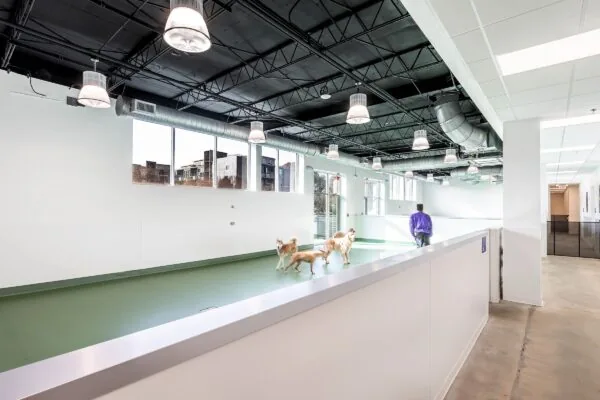 Skiptown - Indoor Play Area